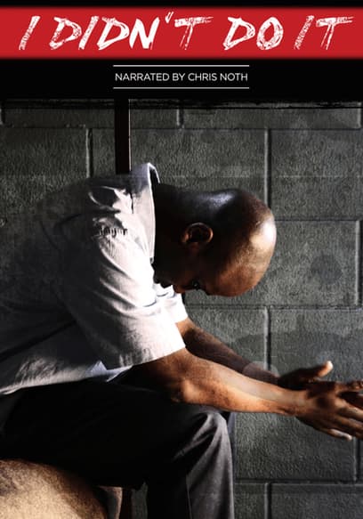 I Didnt Do It poster