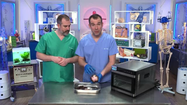 S11:E07 - You're Mostly Made of Water!