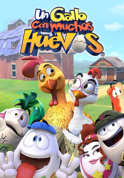 Un gallo con muchos huevos (Doblado)