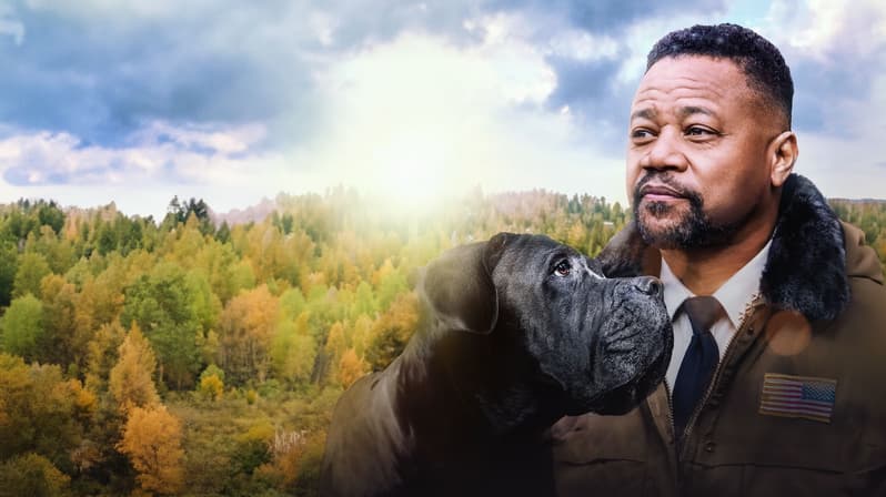 Watch Dog Patrol: Operation Santa Paws (2025) - Free Movies | Tubi