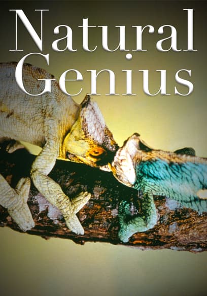 Natural Genius