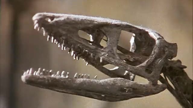 S01:E04 - Y Entonces No Quedó Ninguno