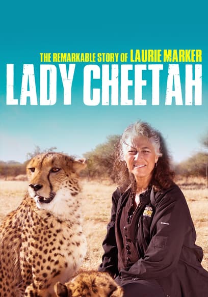 Lady Cheetah