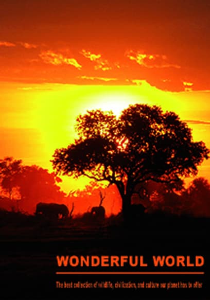Wonderful World (Español)