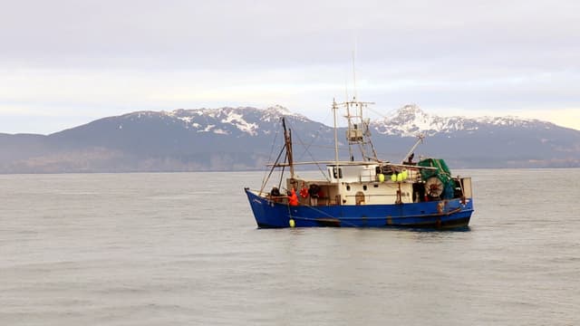 S01:E07 - Busch Pilot's Birthday