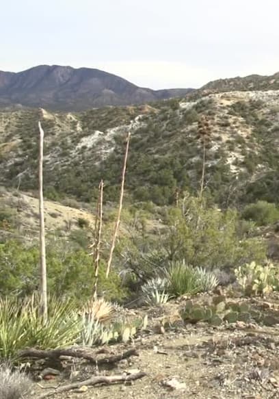 S01:E10 - Palm Springs Area Hiking - Lace Up and Discover 140 Hikes poster