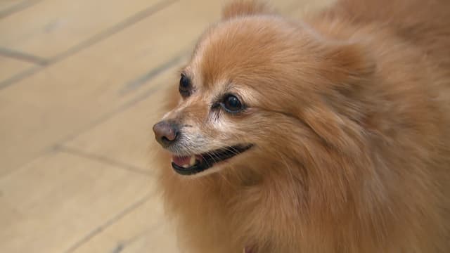 S01:E15 - Honey, Rufus and Cheryls Mum