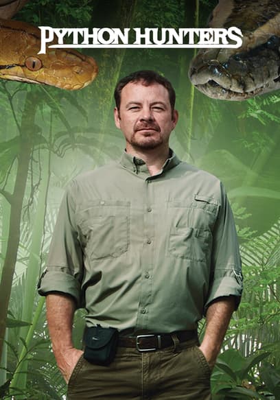 Python Hunters