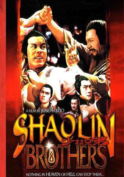 Shaolin Brothers