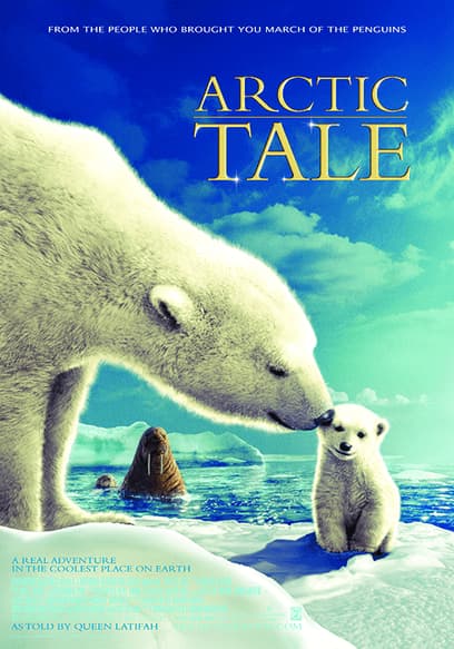 Arctic Tale