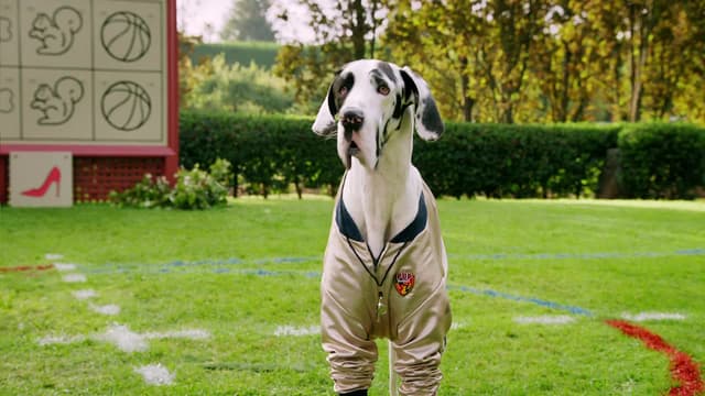 S01:E09 - Into the Wildwood