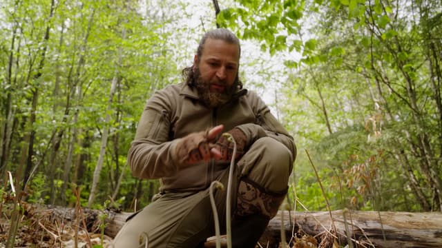 S03:E01 - Turkey and Brackenfern