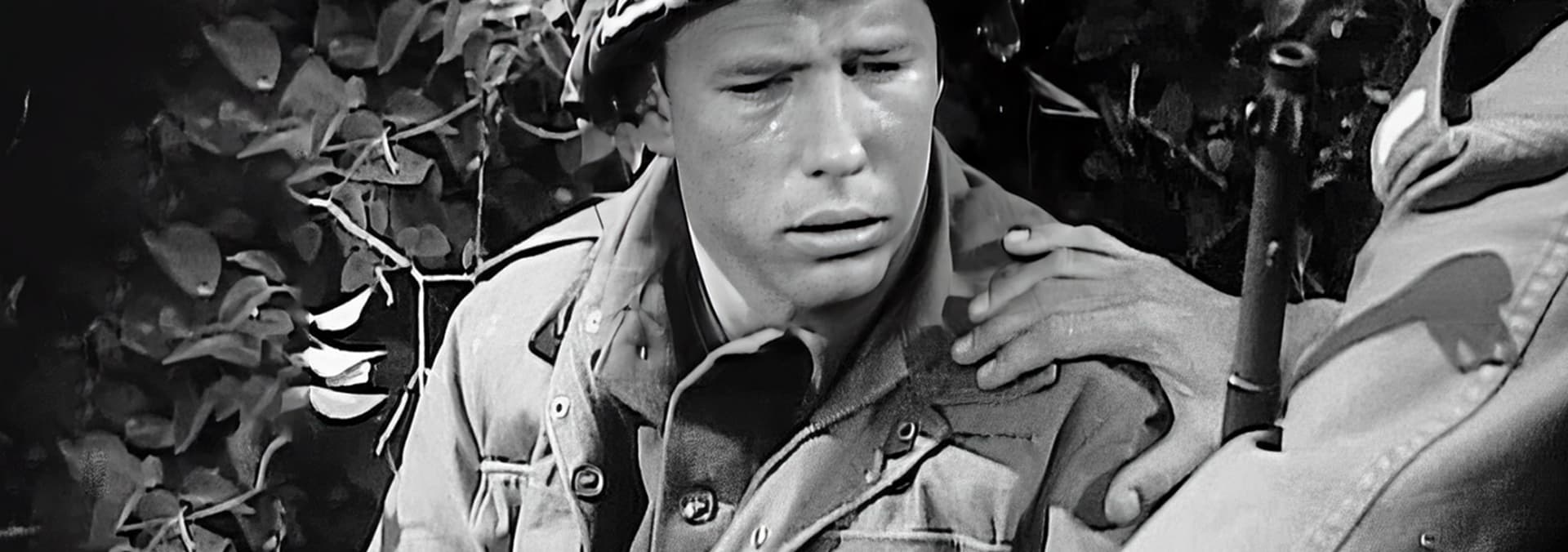 Watch The Big Attack: Combat Heroes of WWII S02:E08 - The Man Who Cried ...