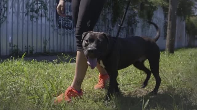 S12:E09 - Finally Free