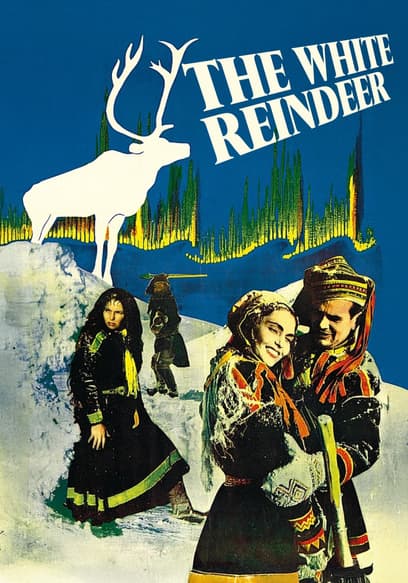 The White Reindeer