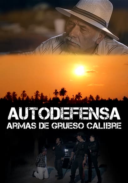 Autodefensa: armas de grueso calibre