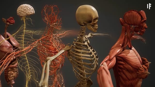 T01:C19 - S01:E19 - Folks Are Weird: Living Boneless, Forever, and With Moldy Diets