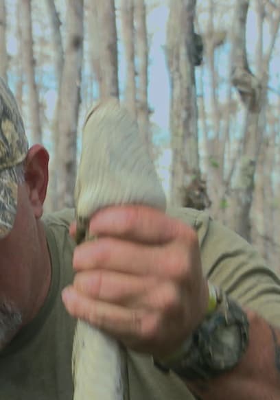 S01:E03 - Taking Back the Glades poster