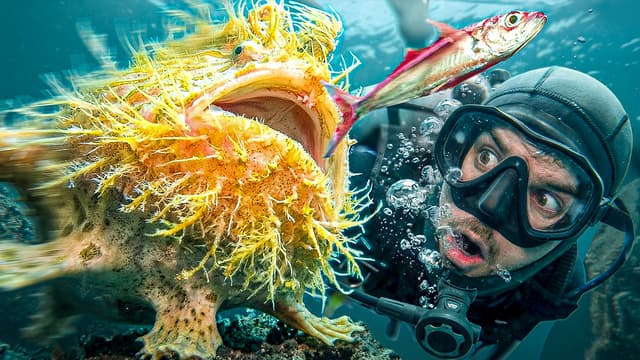 S01:E04 - Strangest Ocean Creatures