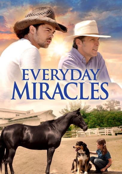 Everyday Miracles