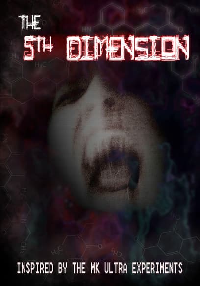 The 5th Dimension