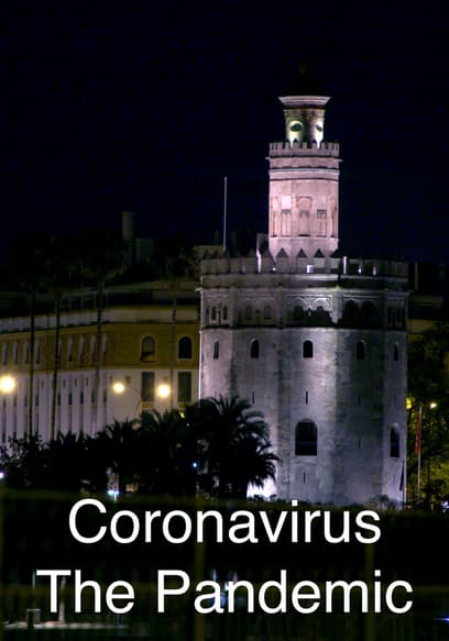 Coronavirus: The Pandemic