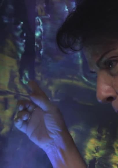 Rinaldi: Instrumental Transcommunication to the Other Side Trailer