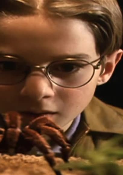 Eight Legged Freaks Trailer