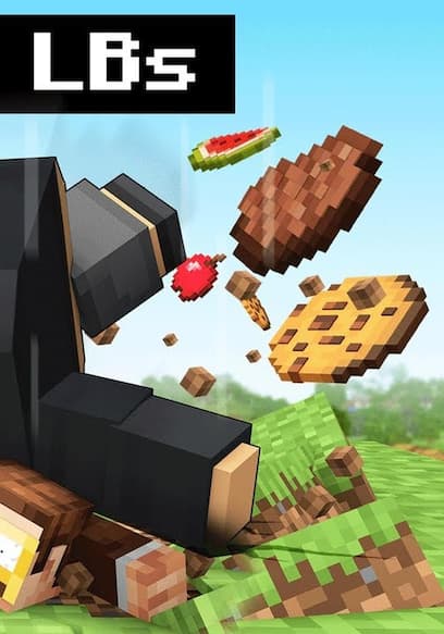 S09:E04 - Fat in Minecraft poster