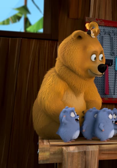 S01:E13 - No Entrance! // Lemmings Indigestion // Sonata in Bear Major // Bear Fractions poster