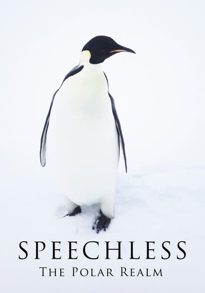 Speechless: The Polar Realm