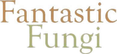 Fantastic Fungi (Remastered)