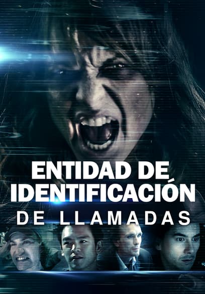 Entidad De Identificación De Llamadas (Doblado)