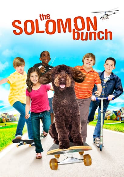 The Solomon Bunch