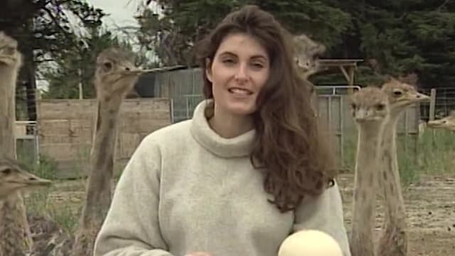 S05:E02 - A Real Rain Wreck! / This Is Snow Funny!