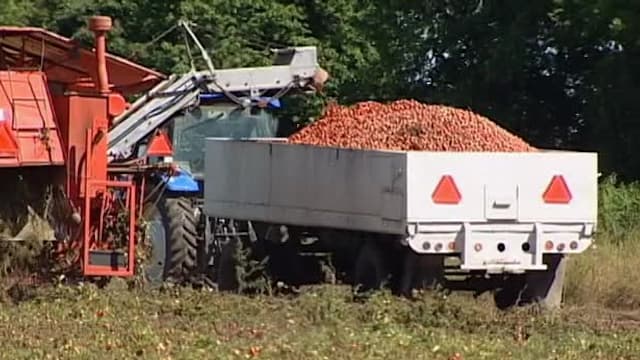 S03:E08 - Bringing in the Harvest