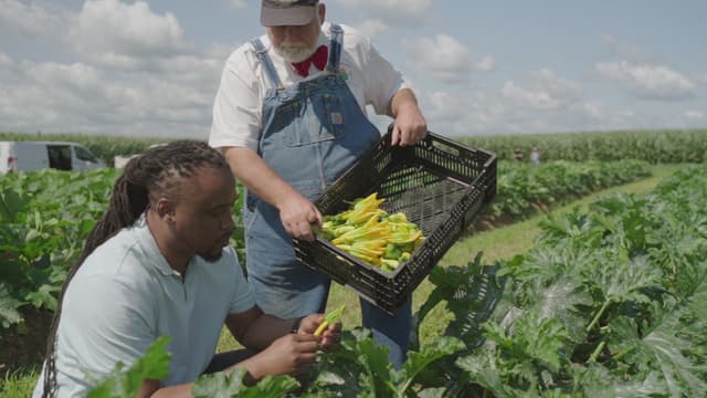 S01:E04 - Squash with Jason Howard