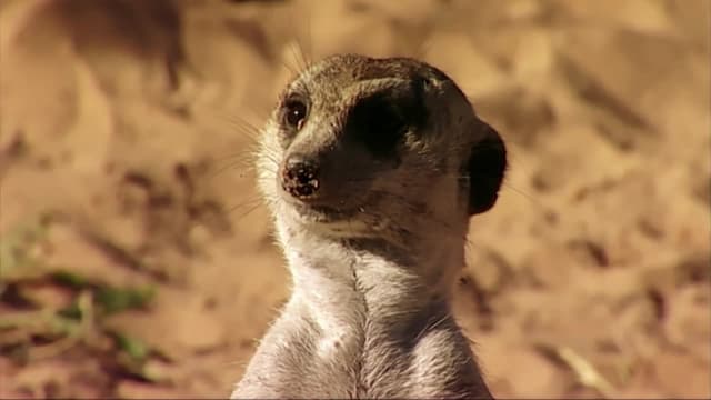 S02:E10 - Episode 10