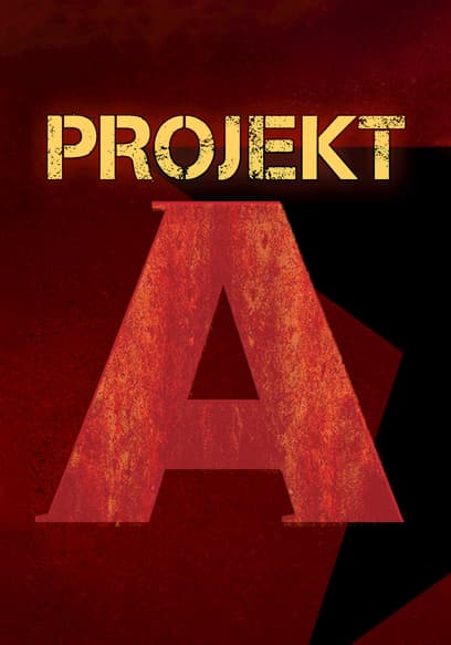 Projekt A