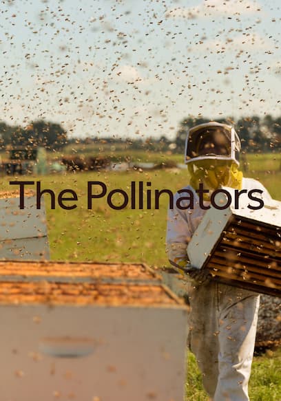 The Pollinators