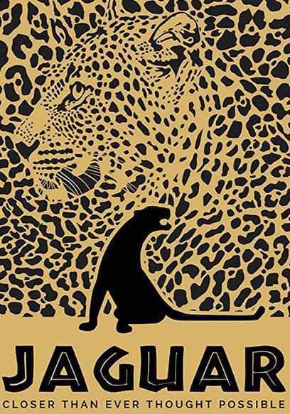 Jaguar: Closer Than Ever Thought Possible poster