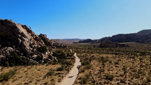 S01:E83 - Episode 83