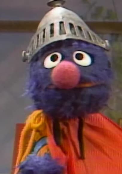 S14:E05 - Big Bird's Last Day at Camp Echo Rock poster
