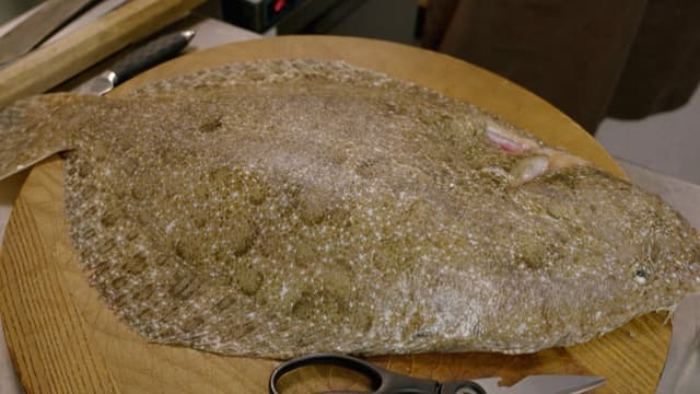 S01:E04 - Large Flatfish Two Ways