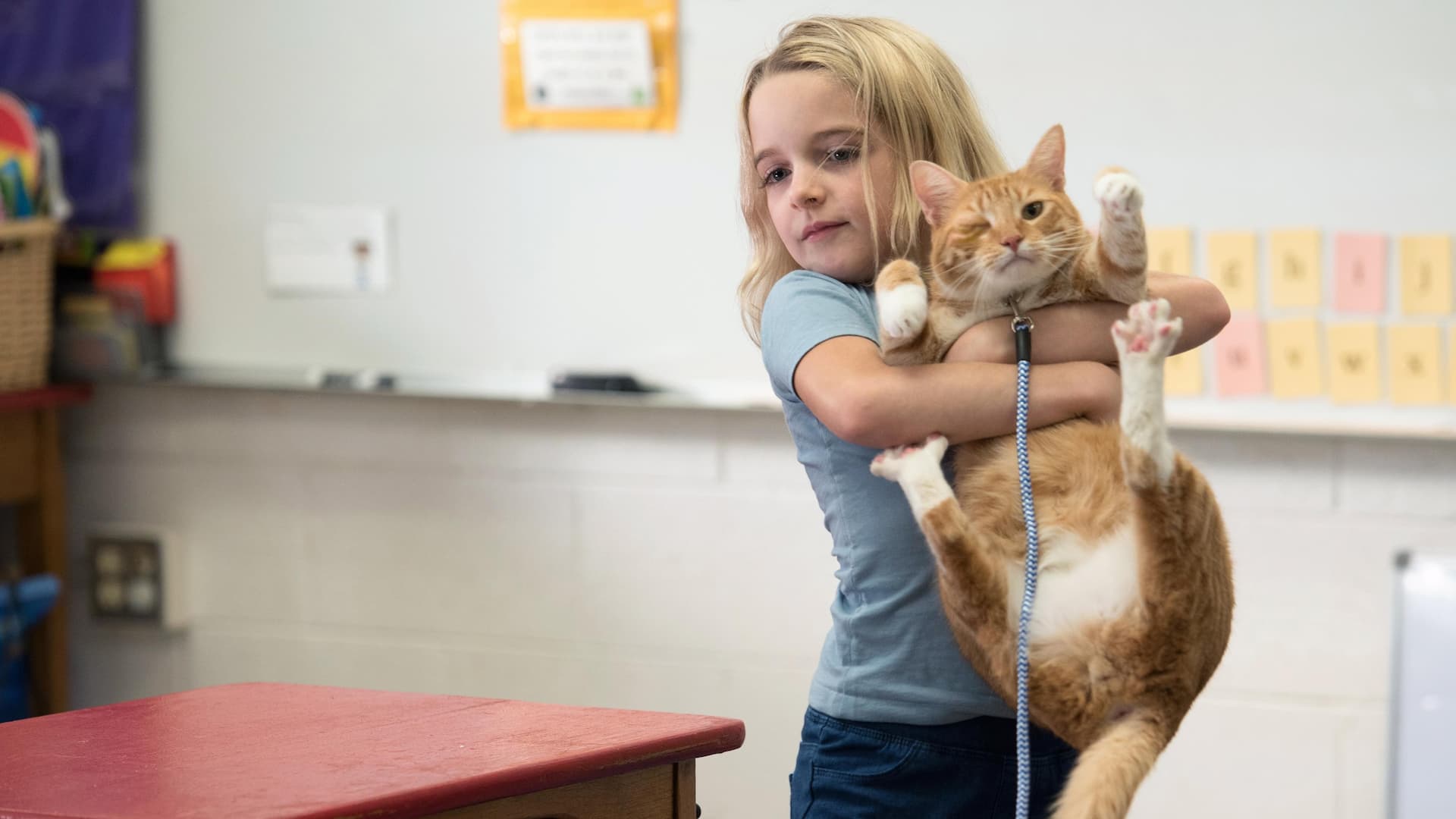 Gifted is coming to Tubi with serious heart — still 1