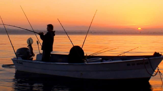 T02:C21 - S02:E21 - Pro Coastal Squid Nest Fishing Secrets