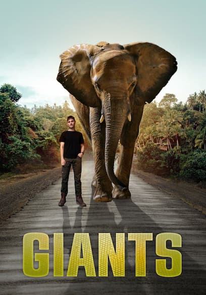 Giants