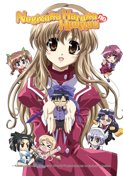 Nogizaka Haruka No Himitsu poster