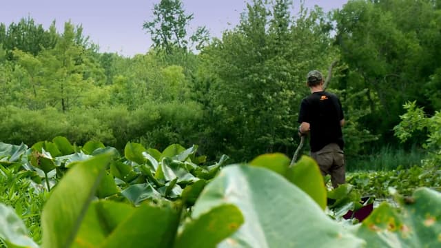 S03:E07 - Swamp Stew: Michigan Bowfishing