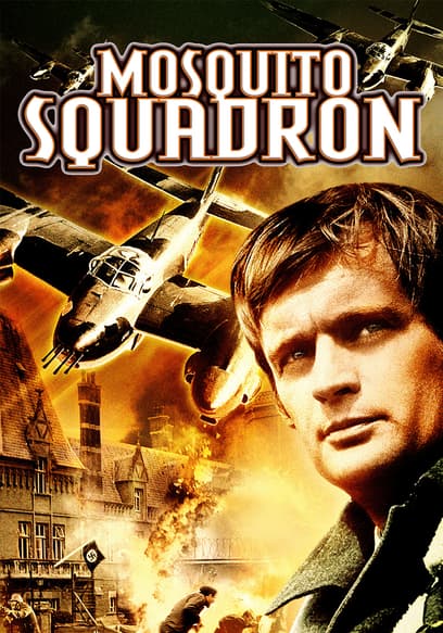 Mosquito Squadron